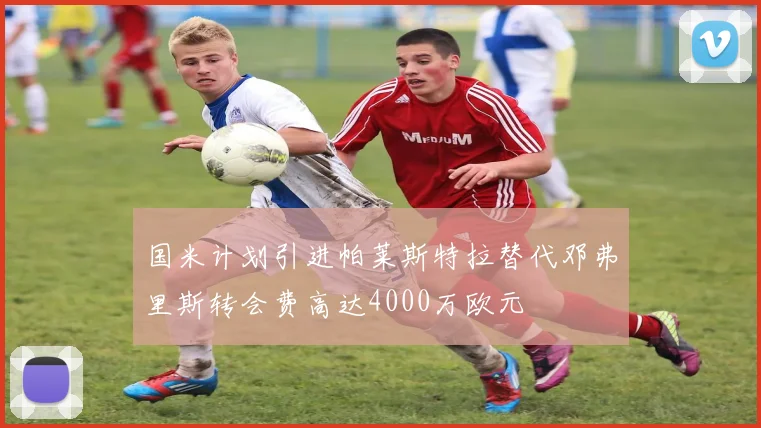 国米计划引进帕莱斯特拉替代邓弗里斯转会费高达4000万欧元